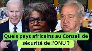 Les deux pays africains éligibles au conseil de sécurité de lONU [upl. by Euqenimod]