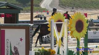 161S Michlynn Sterling on CFH Fearless Impact Novice AM Show Jumping Twin Rivers Ranch Sept 2024 [upl. by Bryant]