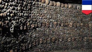 Lost in Catacombs Teens rescued three days after being trapped in Paris catacombs  TomoNews [upl. by Arakal]