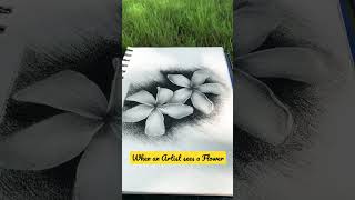 How To Draw Plumeria Flower  Pencil Sketch  Shorts [upl. by Gnut]