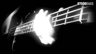 Bass Cover The Sisters Of Mercy  Vision Thing [upl. by Aletha]