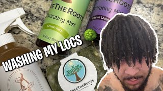 WASHING MY LOCS WITH ALL NATURAL PRODUCTS 🌳  FREE THE ROOTS REVIEW 🔥 [upl. by Castra138]