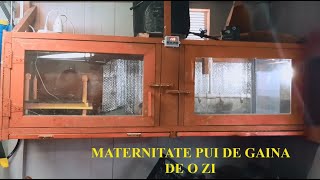 Maternitate pentru cresterea puilor de gaina de o zi  Chickens brooder [upl. by Trammel456]