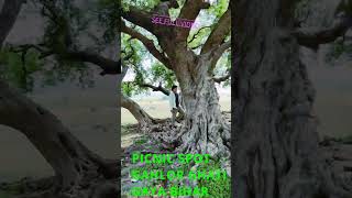 GAHLOR GHATI  MANJHI  MOUNTAIN MAN BIHARshortsfeed shorts youtubeshorts manjhithemountainman [upl. by Spooner]