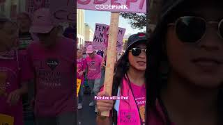 Feminists stand with Palestine at the Womens March [upl. by Dominica]