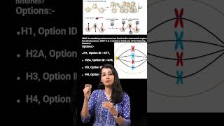 CSIR NET 2022 Questions One Minute Solution II CENPA Protein II Histones [upl. by Kimberly910]