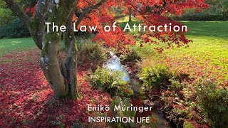 The Law of Attraction  Enikö Müringer INSPIRATION LIFE [upl. by Peregrine]