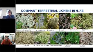 A Review of Lichen Transplant Studies and Methods  ARCKP Webinar 4 [upl. by Eat826]