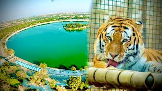 Kankaria Zoo  Kankaria Lake Ahmedabad [upl. by Aurelius]