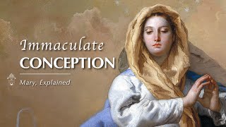 3 Immaculate Conception  Mary Explained [upl. by Christy]