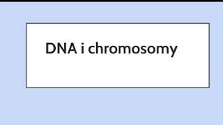 DNA i chromosomy [upl. by Fuller802]