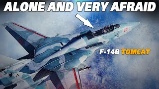 Su27 Flanker Vs F14 Tomcat Dogfight  Digital Combat Simulator  DCS [upl. by Mayyahk]