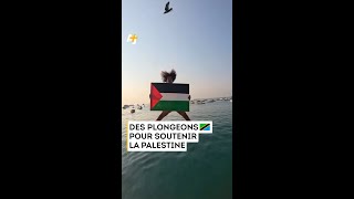 DES PLONGEONS POUR SOUTENIR LA PALESTINE [upl. by Chanda323]