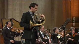 46  David Guerrier  Joseph Haydn  1er mvt du Concerto pour cor [upl. by Gerome315]