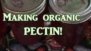 Making Organic Pectin [upl. by Ailuig]