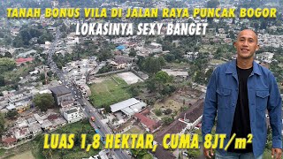 Tanah Bonus Vila  di Jalan Raya Puncak Bogor  Lokasinya Sexy Banget Luas 18 Hektar cuma 8jtm² [upl. by Llenrup858]