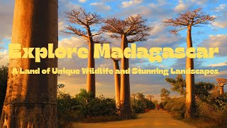 Explore Madagascar A Land of Unique Wildlife and Stunning Landscapes [upl. by Ennaxor213]