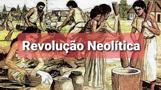 Revolução Neolítica VD 25 [upl. by Euqinommod]