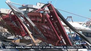 Termoli manca ormai poco più di una settimana al fermo pesca [upl. by Nnylannej]