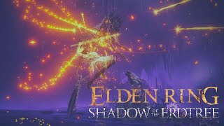 Elden Ring DLC  Putrescent Knight No Hit Feat The Holy Erdtree Maiden [upl. by Brady854]