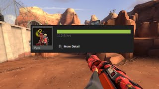 TF2 Pyro frag movie  110hrs pyro main on his way to master it [upl. by Letizia]