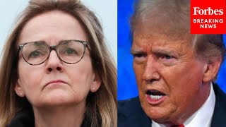 A Crook A Criminal Corrosive To Our Democracy Madeleine Dean Drops The Hammer On Trump [upl. by Malcolm]