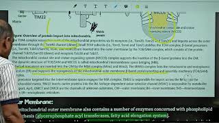 माइटोकॉन्ड्रिया और झिल्ली amp Mitochondria amp Membranes CSIR NET Lifescience by Harcharan Sir [upl. by Gerrie]