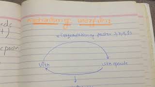 mechanism of action of warfarin pharmacology [upl. by Siderf]