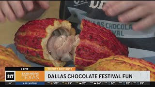 Wheres Brittany At the Dallas Chocolate Festival [upl. by Constantia]