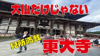 【東大寺後編深掘り】寺社仏閣紀行３７俊乗坊重源上人を記憶に刻め [upl. by Kcirederf]