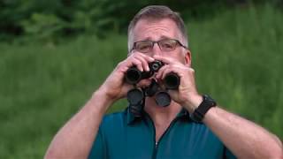 How to Use Binoculars for Birding [upl. by Abbie462]