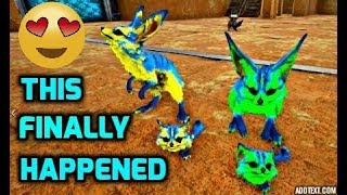 Raising The Cutest Mutated Jerboa EVER Easy Tutorial amp Guild [upl. by Helen]