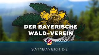 Pendant zum Alpenverein Der Bayerischer WaldVerein [upl. by Inus]