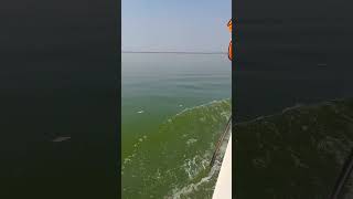 Tourist enjoy boat ride on river Godavari [upl. by Dickman276]