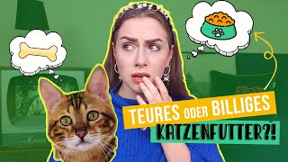 welches Katzenfutter ist gut für meine Katze  Katzentipps amp Fehler beim Futter  Amely Rose [upl. by Jada250]