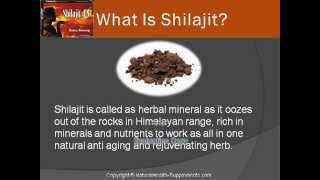 Does Shilajit Increase Testosterone [upl. by Idnek]