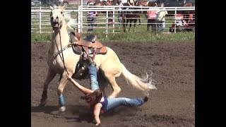 Barrel Racing series 5 from McHenry County Saddle Club [upl. by Ahsienar247]