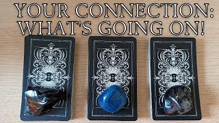 YOUR CONNECTION WHATS GOING ON PICK A CARD TIMELESS TAROT READING [upl. by Celestyna]