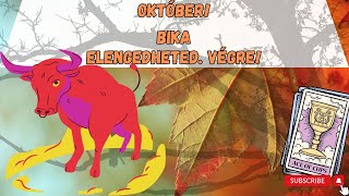 Bika   Tarot előrejelzés 12 csillagjegynek [upl. by Lauryn391]