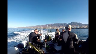 Diving in Tenerife Nov 2024 [upl. by Moseley975]