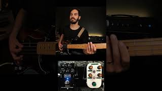 Coi Leray  Players  Bass Cover baixo guitar bass pedais pedalboard musica pedal [upl. by Teahan]