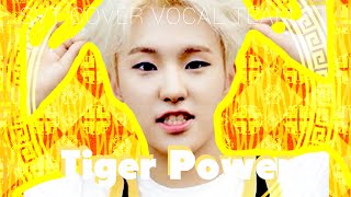 세븐틴커버보컬팀 ST HOSHI  Tiger Power  Hoshi solo [upl. by Sibilla]