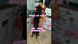 😢কাঁদছো কেন জানো কতো কস্ট হচ্ছে দেখ। comment riyasvlog minivlog riyasvlogs riyavlogs [upl. by Aisatna295]