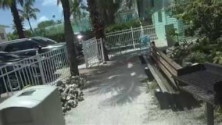 Inside Lighthouse Resort Inn amp Suites  Fort Myers Beach Florida [upl. by Rockwood543]