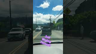 Driving through Haleiwa youtube youtuber travel automobile fb driving rider usa usareels [upl. by Fridlund]