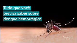 Tudo que você precisa saber sobre dengue hemorrágica [upl. by Atnek]