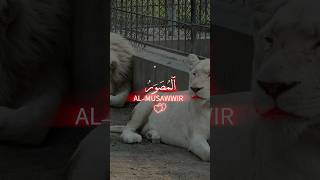 ALLAH TAALAH NAMESislamicprayer shortsfeed shortvideo [upl. by Eilyk]