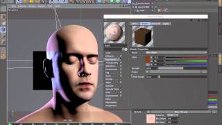 Tip  88 New Subsurface Scattering in Cinema 4D R13 [upl. by Fidelis528]