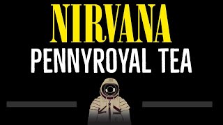 Nirvana • Pennyroyal Tea CC 🎤 Karaoke Instrumental Lyrics [upl. by Anividul]