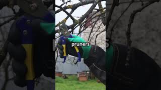 Prune Your Plants Like a Pro in 35 Seconds  Quick Gardening Tips garden gardening gardeningtips [upl. by Eemla]